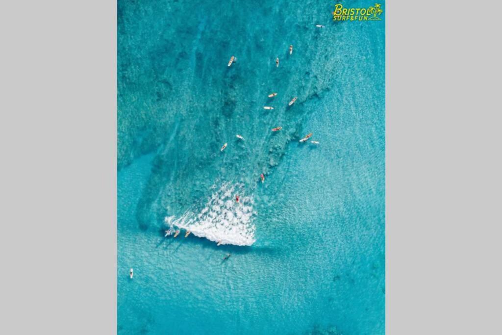 B-Rent Bristol Beach Surf & Fun Corralejo Eksteriør billede